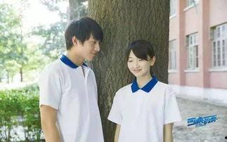 杨洋爆料陈都灵视频合集,视频合集大揭秘